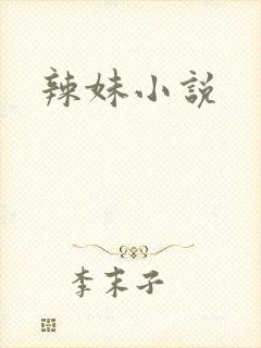 辣妹小说