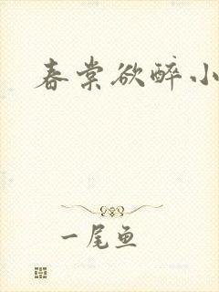 春棠欲醉小说封面