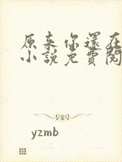 原来你还在这里小说免费阅读