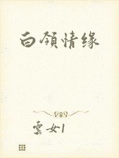 白领情缘