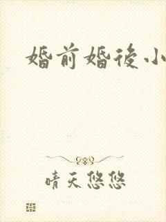 婚前婚后小说封面