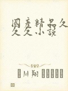 国产精品久久久久久小说
