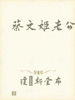 蔡文姬老公