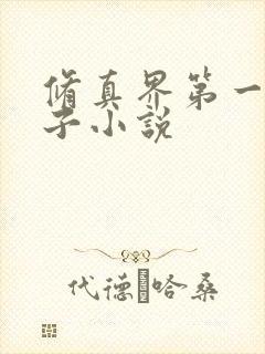 修真界第一病秧子小说