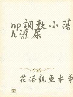 np调教小荡货h灌尿