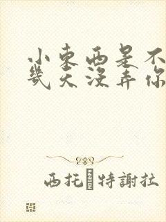 小东西是不是好几天没弄你了封面