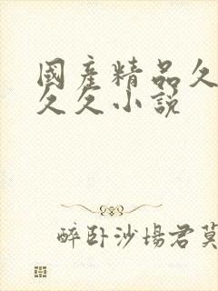 国产精品久久久久久小说