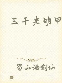 三千光明甲