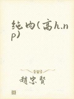 纯肉(高h.np)