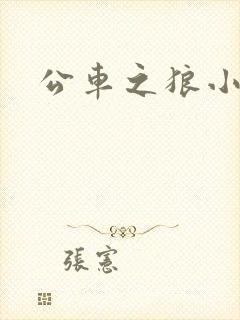 公车之狼小说