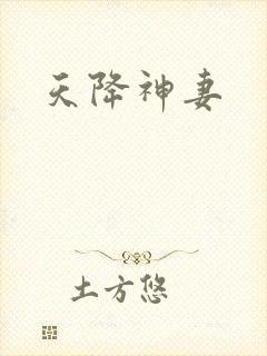 天降神妻