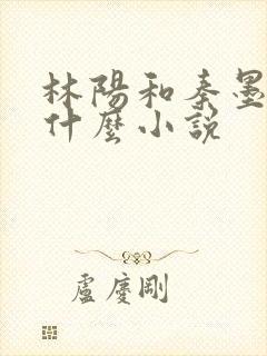 林阳和秦墨浓是什么小说封面