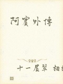 阿宾外传