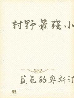 村野最强小农民