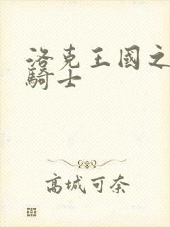 洛克王国之圣龙骑士封面