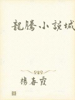 龙腾小说城封面