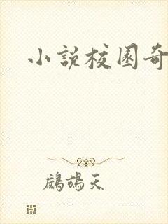 小说校园奇侠封面