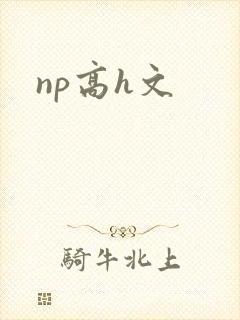 np高h文
