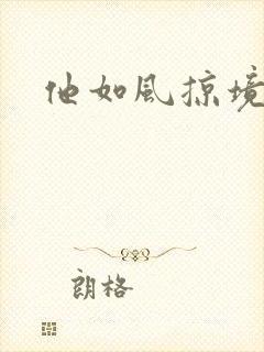 他如风掠境封面
