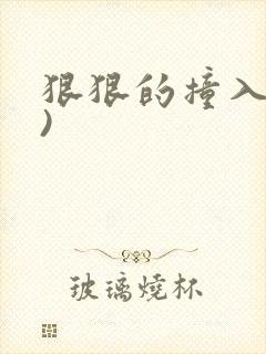 狠狠的撞入(h)