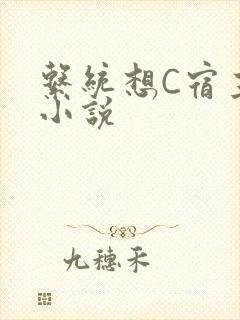 系统想C宿主的小说