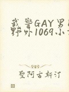 武警GAY男同野外1069小说封面