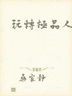 玩转极品人生封面