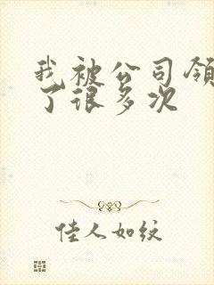 我被公司领导C了很多次