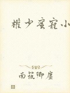 权少蜜宠小娇妻封面