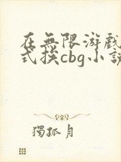 在无限游戏里花式挨cbg小说