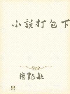 小说打包下载