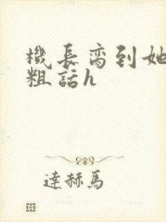 机长脔到她哭h粗话h