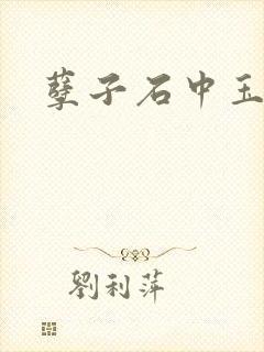 孽子石中玉