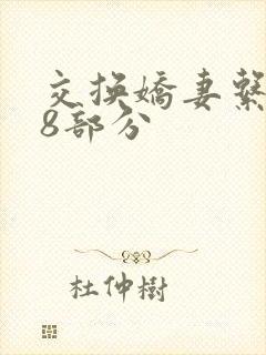 交换娇妻系列38部分