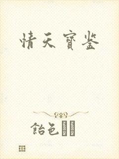 情天宝鉴封面