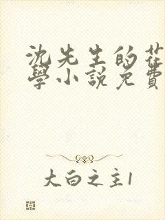 沈先生的花式教学小说免费