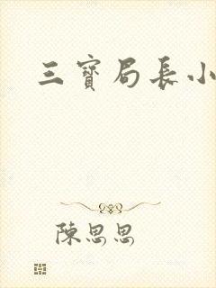 三宝局长小说
