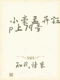 小豪孟卉钰慧三p上79章