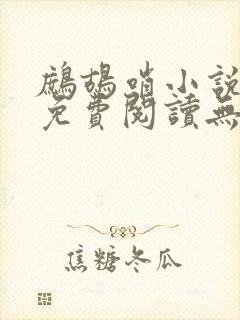 鹧鸪哨小说网站免费阅读无弹窗封面