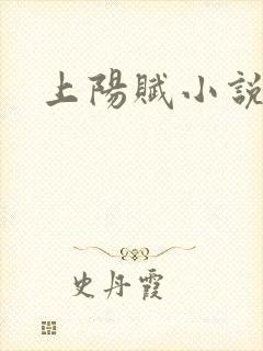 上阳赋小说