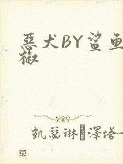 恶犬BY鲨鱼辣椒