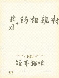 我的相亲对象是xl封面