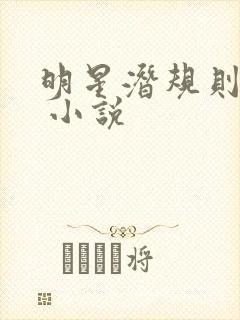 明星潜规则之皇 小说