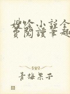 嫂吟小说全文免费阅读笔趣阁封面