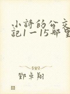 小诗的公交车日记1一15哪里能看