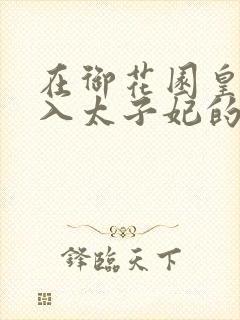 在御花园皇上进入太子妃的小说封面
