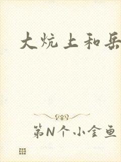 大炕上和岳偷倩封面