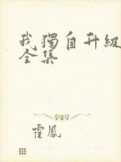 我独自升级漫画全集封面