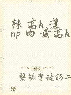 辣 高h 浓 np 肉 黄高h封面