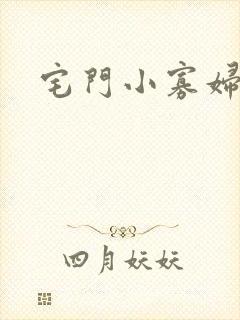 宅门小寡妇